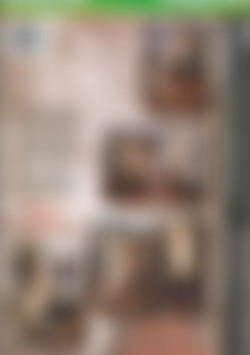 Wicked Pleasures back cover