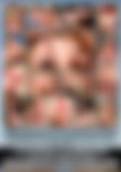 Ass Fucked 6 back cover