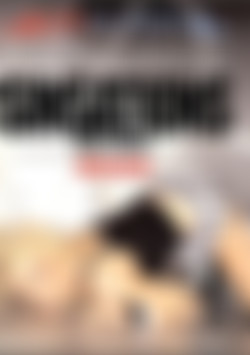 Teenage Sinsations front cover