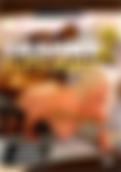 Granny Butt-Fuck 2 front cover