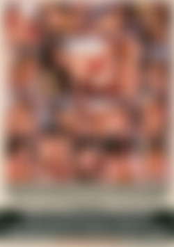 Assploitations 9 back cover