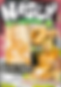 Nasty As I Wanna Be - Nikki Tyler front cover