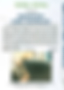 BSDL-201: Squeezed And Humbled back cover