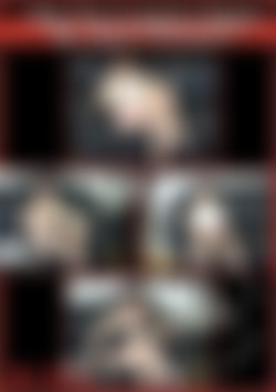 Are You Looking Under My Skirt Pervert? front cover