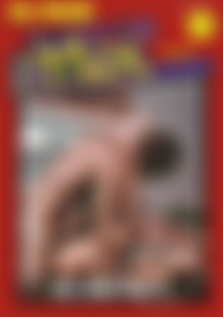 Swedish Erotica 13 - Big John Part II front cover