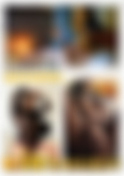Private Sextapes vol.2.2 back cover