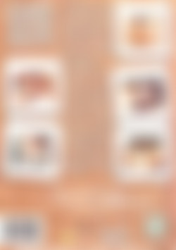 Casting Couch Vol. 4 back cover