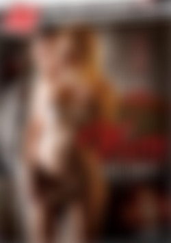 My Vixen Hotwife front cover