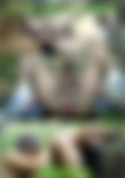 Fist in Forest front cover