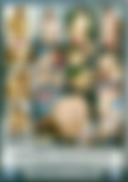 Chunky Chicks 42 back cover