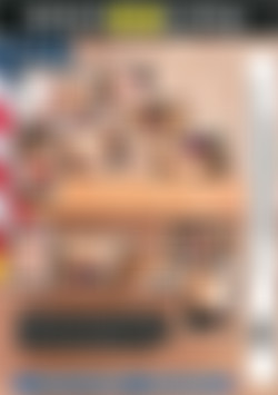 All Rise: Zz Court Is In Session back cover