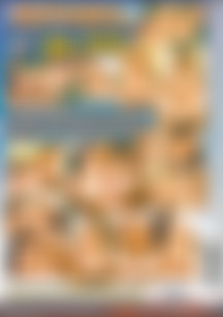 A.N.A.L #3 back cover