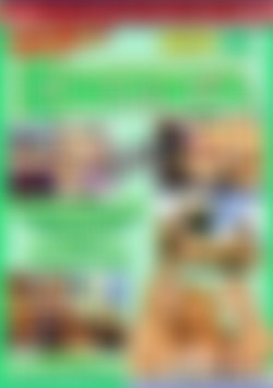 Erotica Orgy front cover