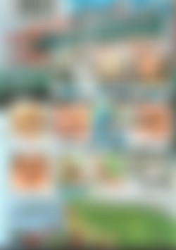 Naughty Nurses Of Mt. Memore back cover