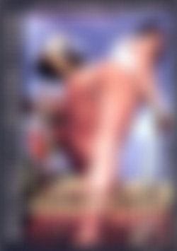 Erotic Adventures of Johnny Soiree, The front cover