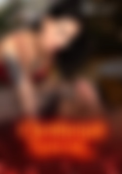 Christmas Special starring Brisen front cover