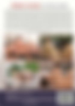 Fresh Faced After Dark back cover