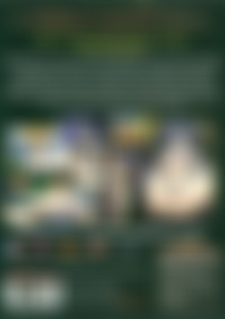 Romance is in the Flash of the Sword 2: Vol. 3 back cover