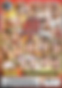 Ass Pounders 5 back cover