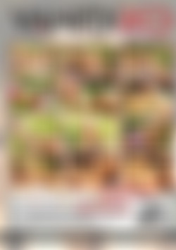 Lick Like Lesbians back cover