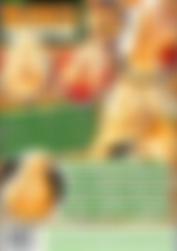 Ultimate Dasha back cover