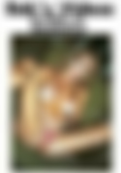 Bob's Videos #109 - L.A. Moments front cover