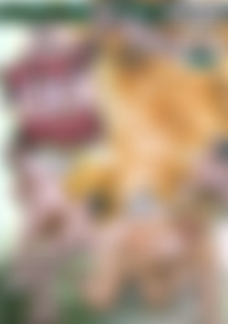 Bouncy Sex Pigs front cover