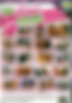 Double D Experience 2, The back cover