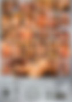 The Best Of Blondes back cover