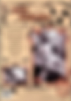 Achy Assholes back cover