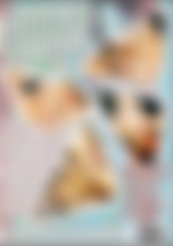 Heeeeere's Cassidey back cover