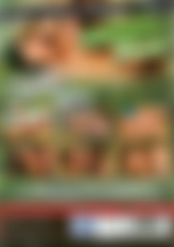 Brazilian Summer Sluts back cover