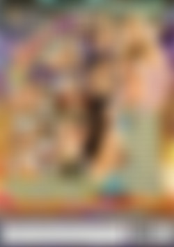 Shagnet back cover