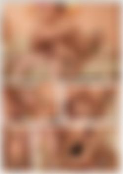 She Is A Real Slut back cover