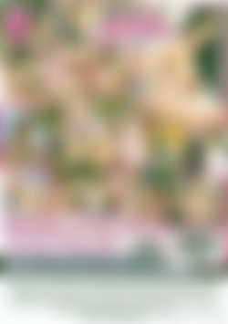 Busty Beauties: Jugs of Authority back cover