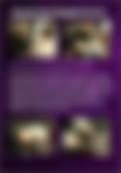 Domestic Home Discipline Part Two back cover