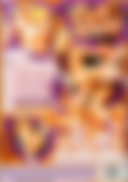 Vivid Superstars: Sunrise back cover