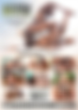 Sir Peter Bangs Brazil back cover