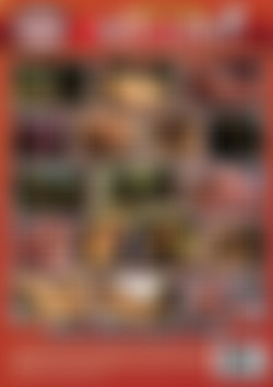 Keisha's Red Light Special back cover