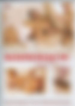 Bi Sexual Bareback Vol. 5 front cover