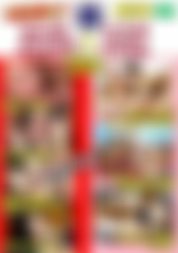 Sucks Cocks Licks Clits front cover