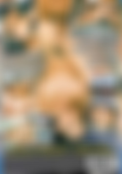 Ass Lovers Delight back cover