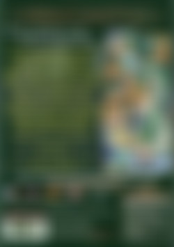 Romance is in the Flash of the Sword 2: Vol. 5 back cover