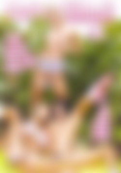 My Sexy Kittens #8 front cover