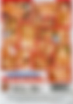 Unlawful Rear Entry back cover