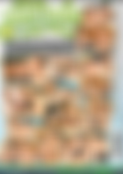 Lucky Bastard 2: Pussy Palooza back cover