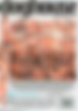 Bachelor Party Orgy 5 back cover