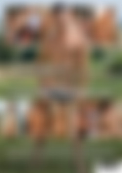 Giuseppe and His Buddies back cover