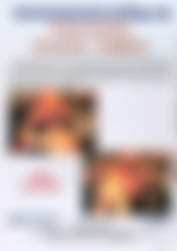 MMV-FGT: Fucking Good Times back cover