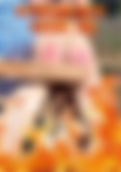 Discipline Tales Vol 348 front cover